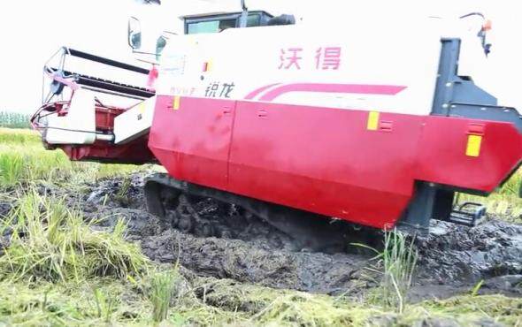 沃得锐龙4LZ-6.0E尊享版联合收割机泥泞田块收割视频