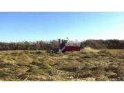 沃得锐龙4LZ-6.0E尊享版联合收割机倒伏作物收割视频