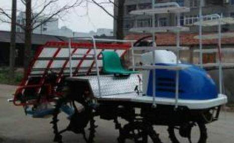 黄鹤2ZG-XRD6B乘座式高速插秧机