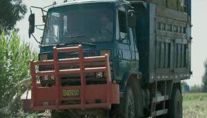 中机美诺9265A自走式饲料收获机作业视频