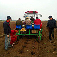 成帆2TX-4蔬菜移栽机