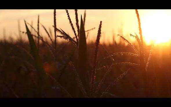 仁达品牌全新LOGO发布