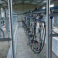 百牧旺9JGJ-12挤奶机