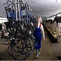 利拉伐(DeLaVal)9JR-6 DV挤奶机