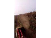 《建国》花生收获机作业视频