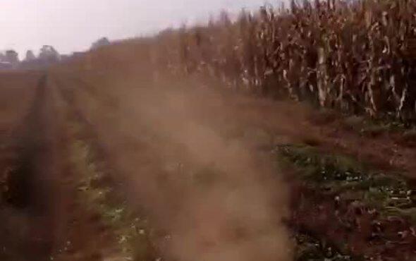 《建国》花生收获机作业视频