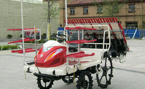 潍河2ZG-6乘坐式高速插秧机