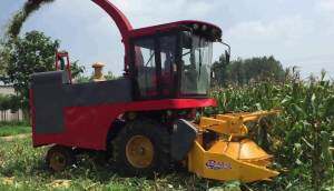 昭达9QZ-2800青饲料收获机作业视频