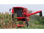 中农博远4YL-5玉米联合收获机作业视频