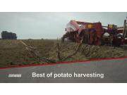 格立莫马铃薯收获机械作业视频2018