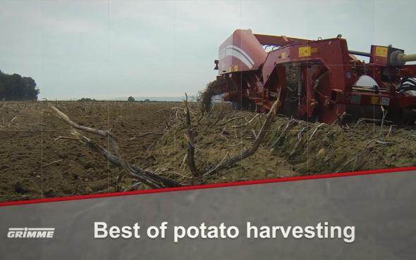 格立莫马铃薯收获机械作业视频2018