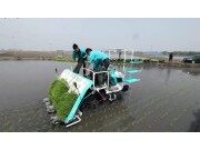 久富牌增产型乘坐式高速6行(G6)插秧机作业进行时(二)