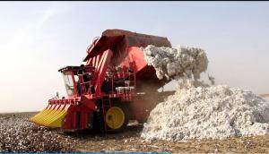 钵施然4MZ-6A自走式棉花收获机作业视频