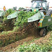 美国KMC2/4/6/8行花生起垄机