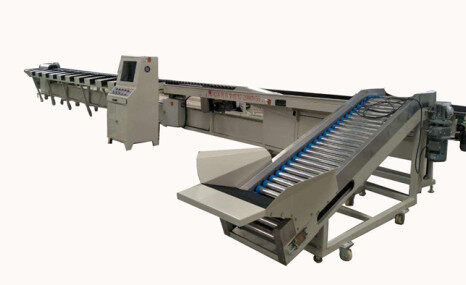 沅江兴农6GFDZ-1水果分级机