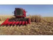 国内玉米割台第**品牌 天人农机视频