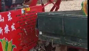 新农发四驱玉米收割机扒皮效果好,不磕粒