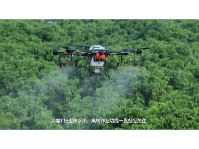 DJI_大疆_T16_大坡度山地果树飞防测试视频