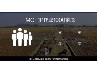 山东数字化千亩小麦统防统治-大疆农业