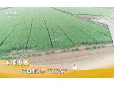 央七-致富经-农田里来了“蜘蛛侠”