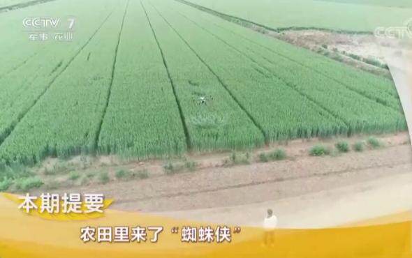 央七-致富经-农田里来了“蜘蛛侠”