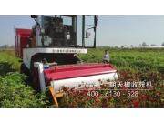 河北吉龙辣椒收获机-朝天椒收获视频