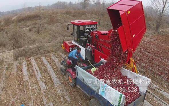 河北吉龙辣椒收获机产品视频