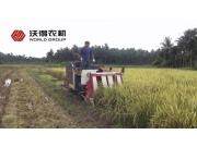 沃得半喂入收割机多功能作业视频