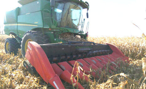 四平市天兴4YGT-12玉米收割台