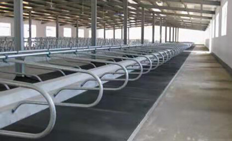 百牧旺BW系列牛卧床