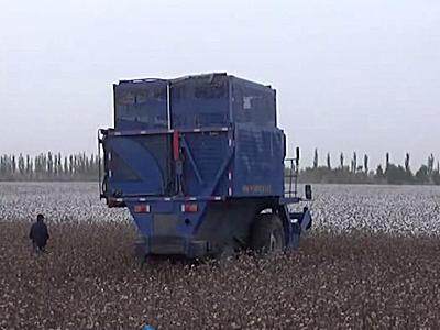 东风农机4MZ-3A采棉机作业视频