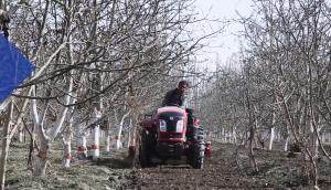 东风农机DF604-15大棚王拖拉机作业视频