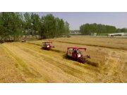 雷沃谷神RG50S产品口碑片