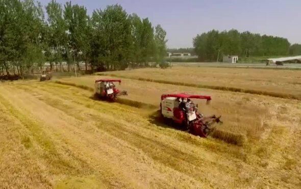 雷沃谷神RG50S产品口碑片