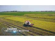 雷沃谷神RG50S超越版—为您提供高效可靠的收获体验