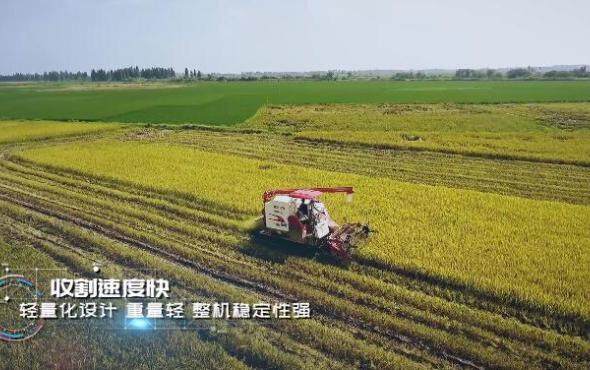 雷沃谷神RG50S超越版—为您提供高效可靠的收获体验