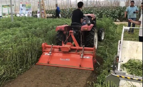 无锡悦田YTMC系列高密度精密蔬菜灭茬机