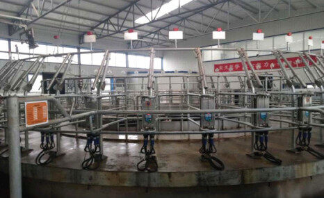 上海麦喀斯9JZD-40挤奶机