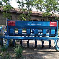 大通城关2BCD-6播种机