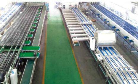 杰瑞华创智能水果分选系统