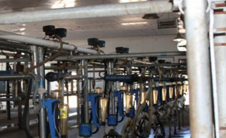 河北方月9JZ-16型挤奶机