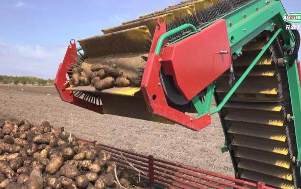 希森天成马铃薯联合收获机作业视频