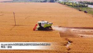 科乐收(CLAAS)_D370小麦收割机及秸秆打捆联合作业演示会-作业视频