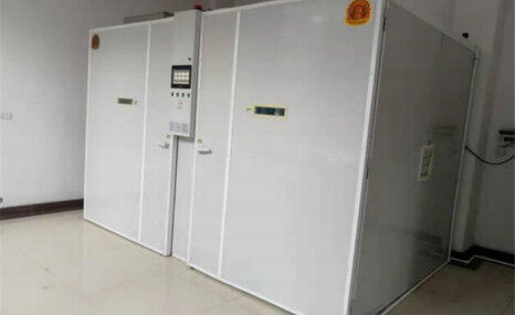 佛山任氏9FU-30720孵化机