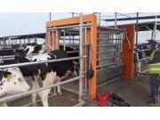 省人省时省力的智能称重分群系统