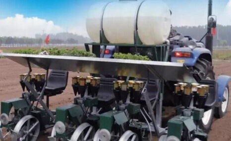 山东天鹅2ZS-F系列移栽机