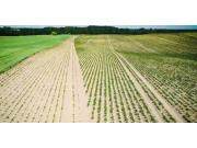 格立莫土豆播种机宣传视频