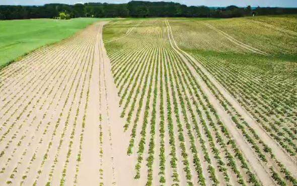 格立莫土豆播种机宣传视频