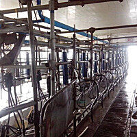 利拉伐(DeLaVal)9JGJ-2×6挤奶机