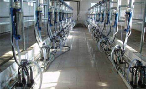 永济9J-YJZD-2X10鱼骨式挤奶机